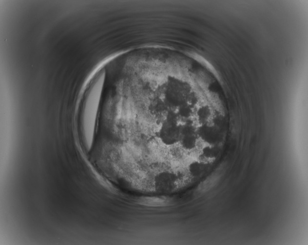 X0000085231125200703301719