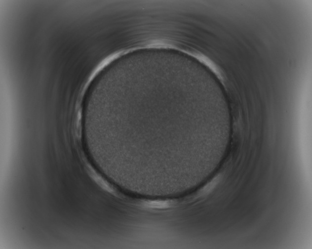 X0000085231126200703301719