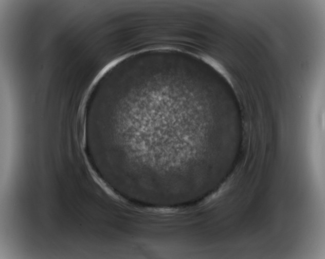 X0000085231127200703301719