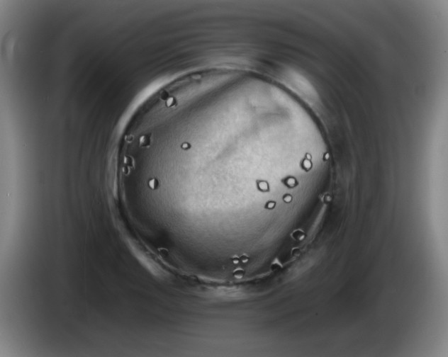 X0000085231128200703301719