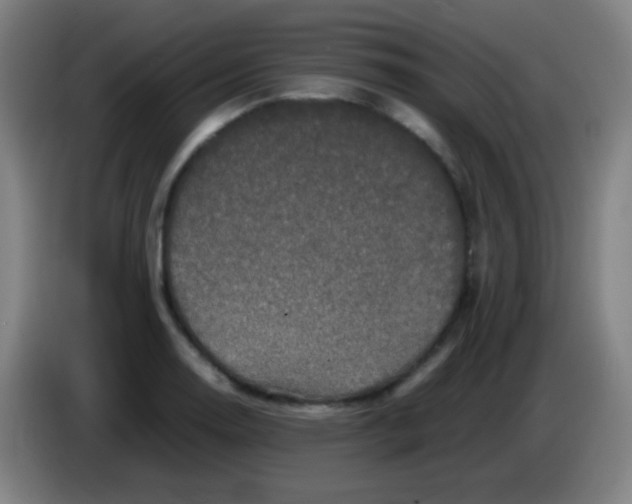 X0000085231130200703301719