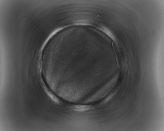 X0000085231132200703301719