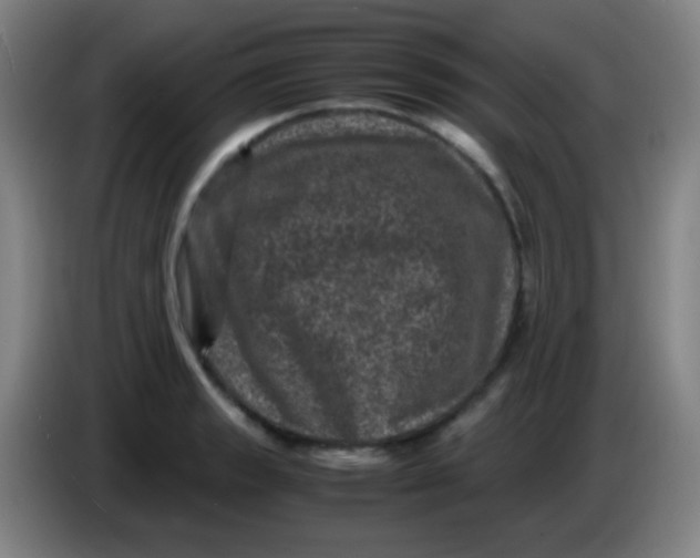 X0000085231133200703301719