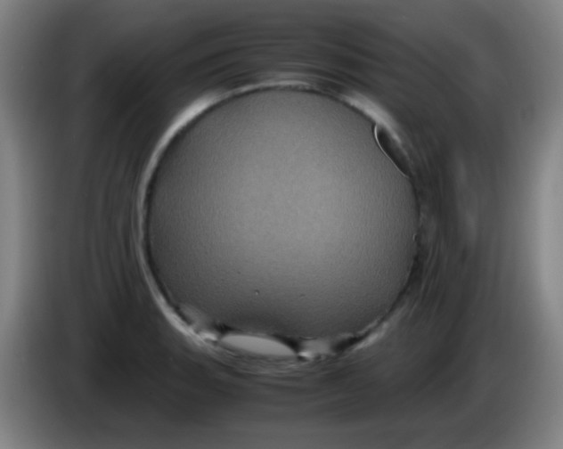 X0000085231135200703301719