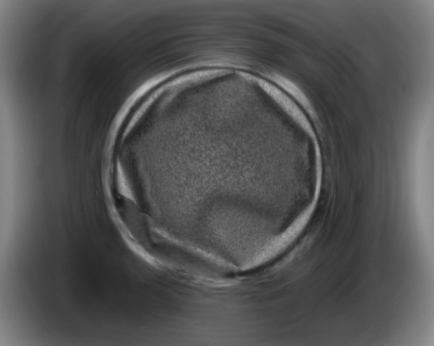 X0000085231136200703301719