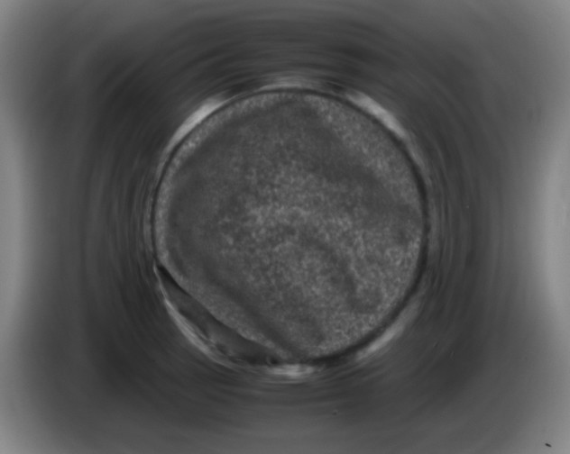 X0000085231137200703301719