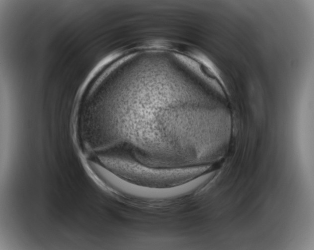 X0000085231139200703301719