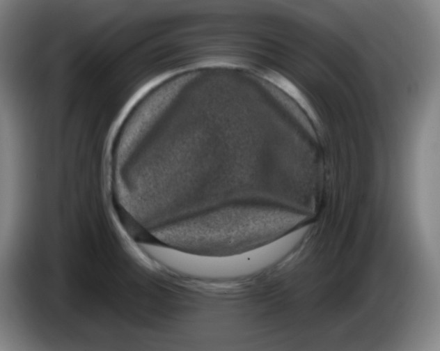 X0000085231140200703301719