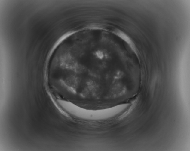 X0000085231141200703301719