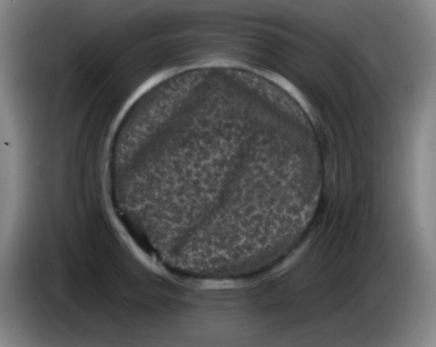 X0000085231142200703301719