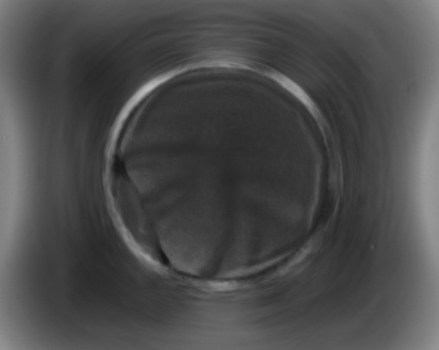 X0000085231144200703301719