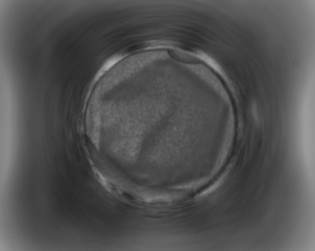 X0000085231145200703301719