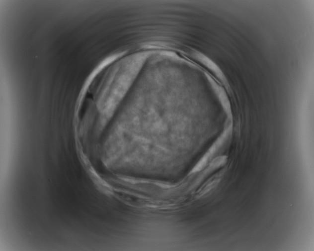 X0000085231146200703301719