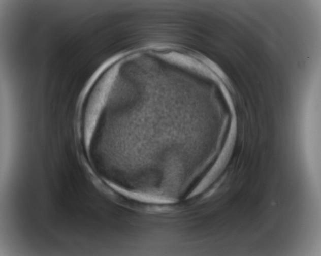 X0000085231148200703301719
