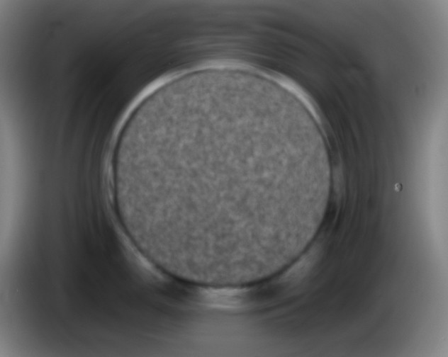 X0000085231150200703301719