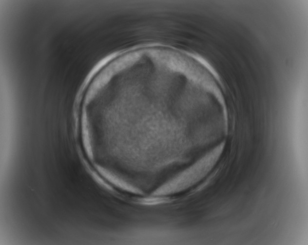 X0000085231151200703301719