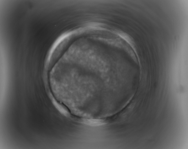 X0000085231152200703301719