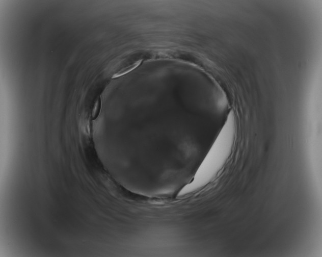 X0000085231155200703301719