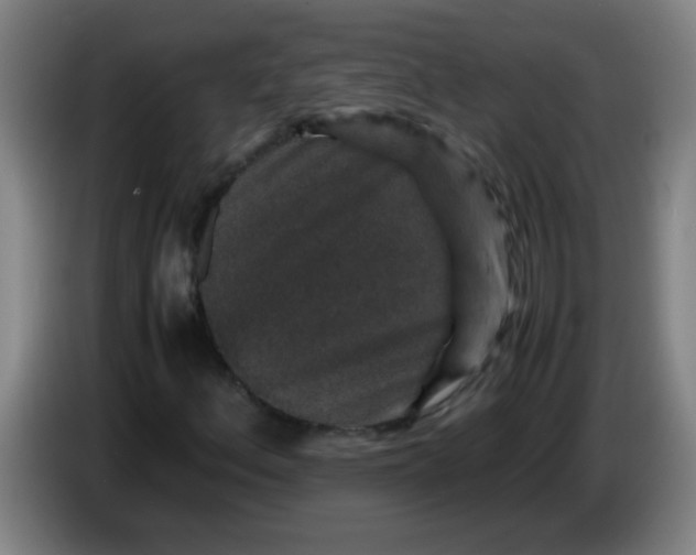 X0000085231156200703301719