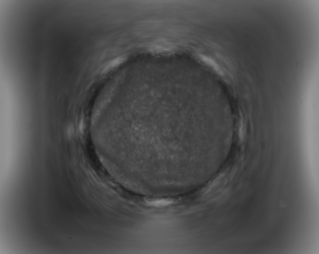 X0000085231157200703301719