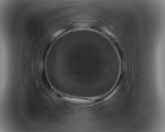 X0000085231161200703301719
