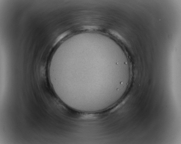 X0000085231162200703301719