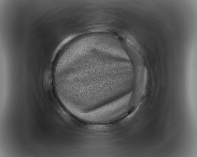 X0000085231164200703301719