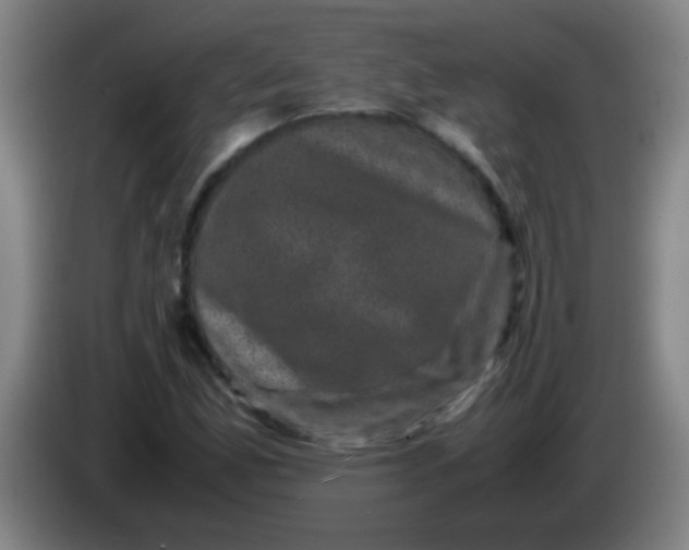 X0000085231165200703301719
