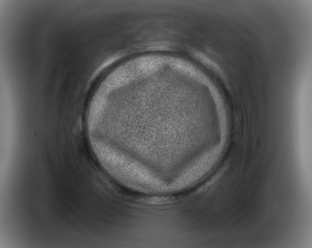 X0000085231166200703301719