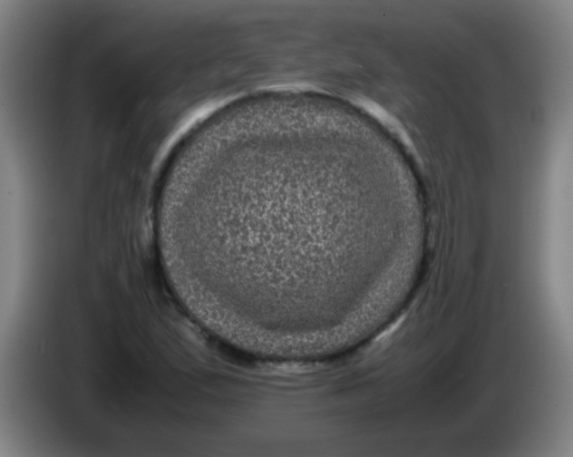 X0000085231167200703301719