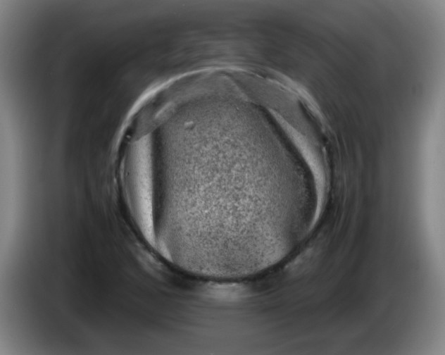 X0000085231168200703301718