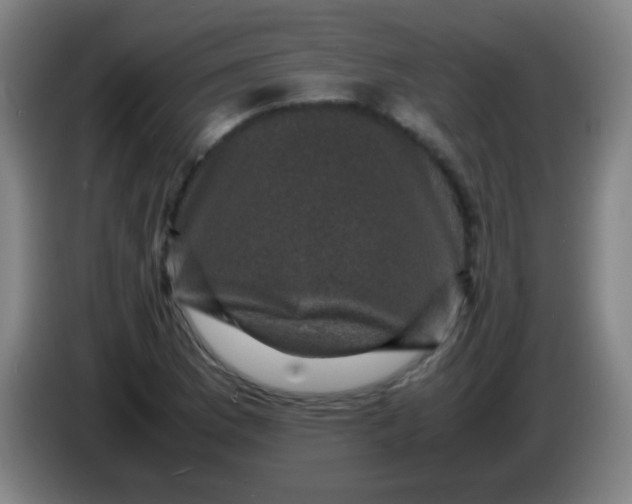 X0000085231169200703301718