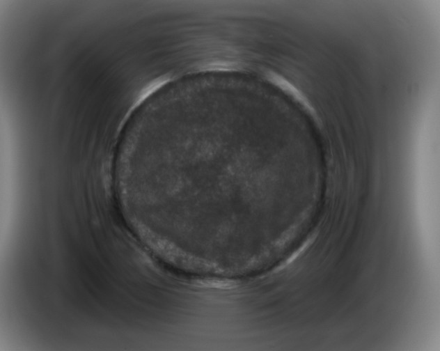 X0000085231170200703301718