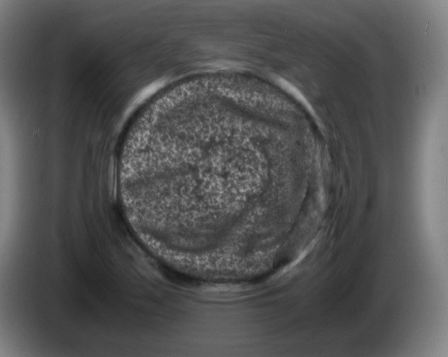X0000085231171200703301718