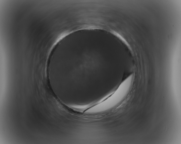 X0000085231173200703301718