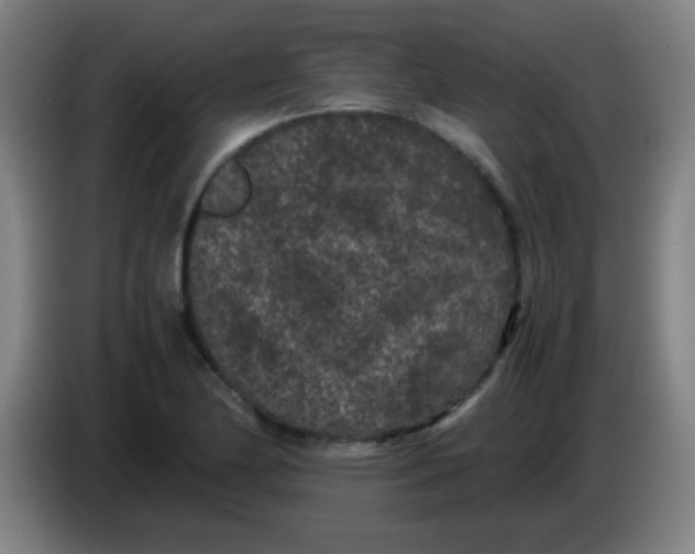 X0000085231174200703301718