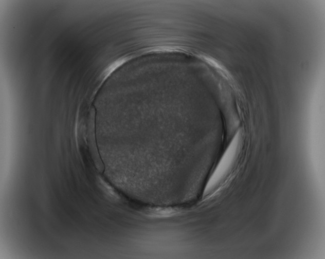 X0000085231177200703301718