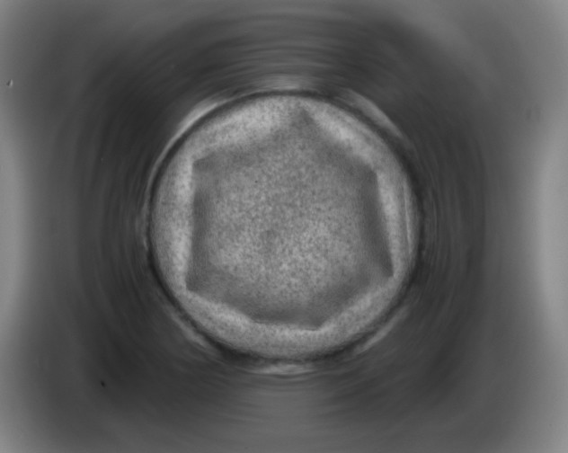 X0000085231178200703301718
