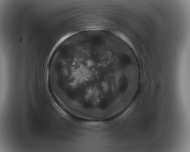 X0000085231179200703301718