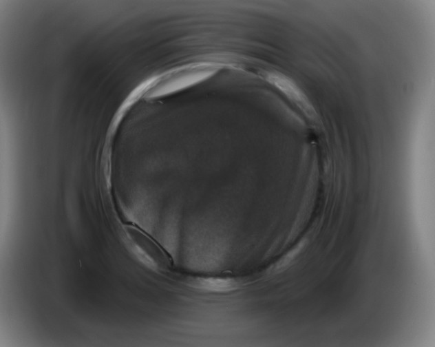 X0000085231180200703301718