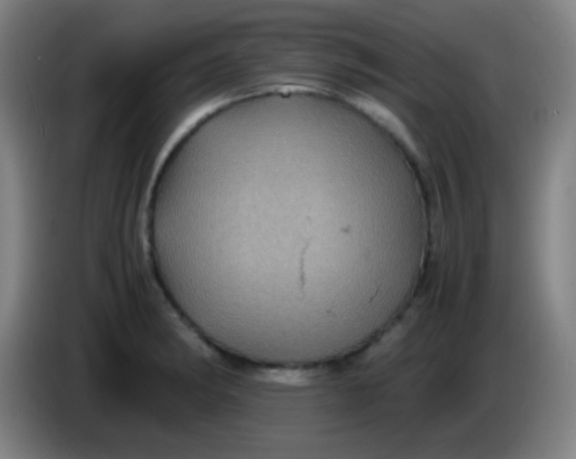 X0000085231182200703301718