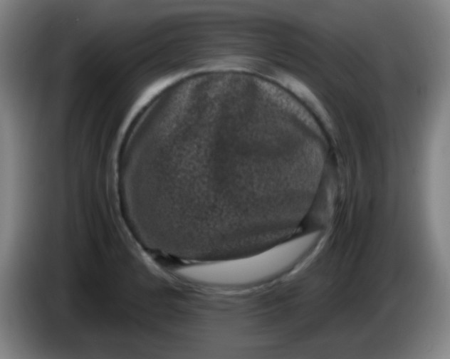 X0000085231184200703301718