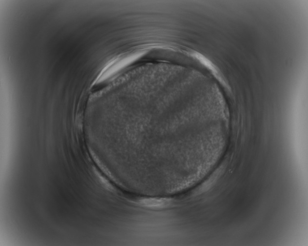 X0000085231185200703301718