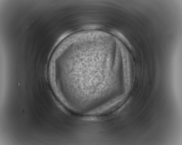 X0000085231186200703301718