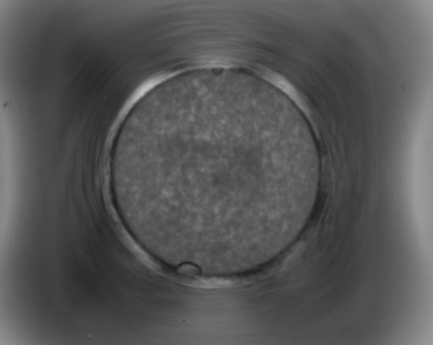 X0000085231187200703301718