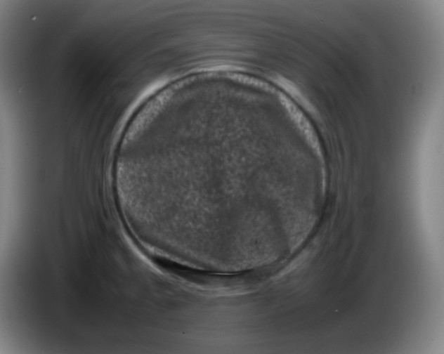X0000085231189200703301718