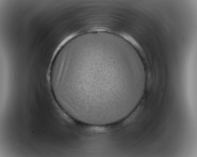 X0000085231190200703301718