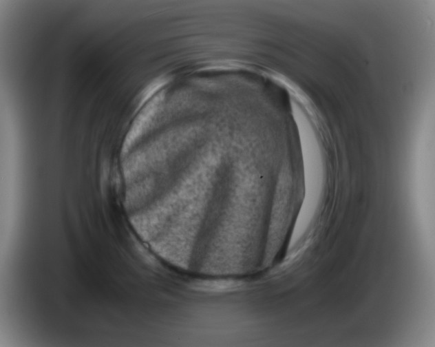 X0000085231193200703301718