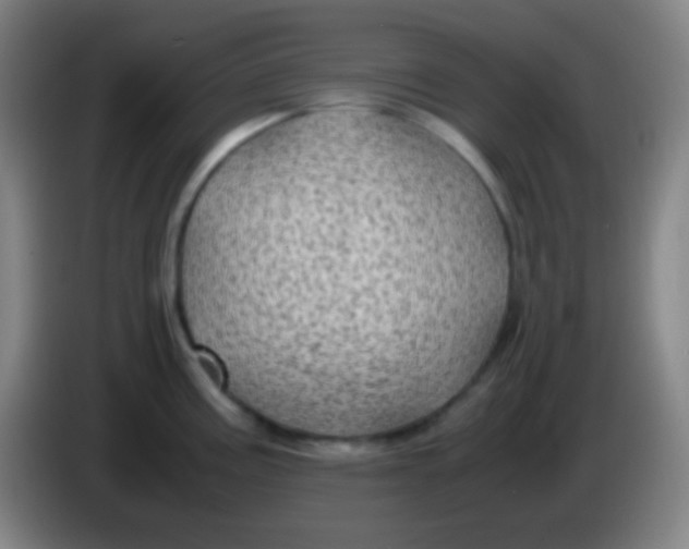 X0000085231195200703301718