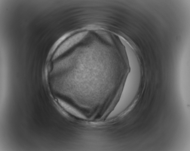 X0000085231196200703301718